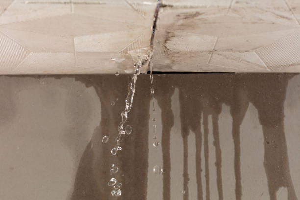 Professional Sewage Cleanup technician working in Rockwell, AR